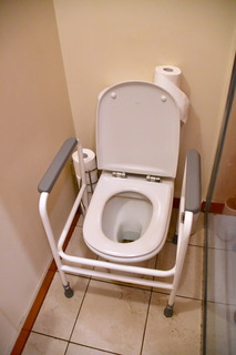 Toilet frame for elderly
